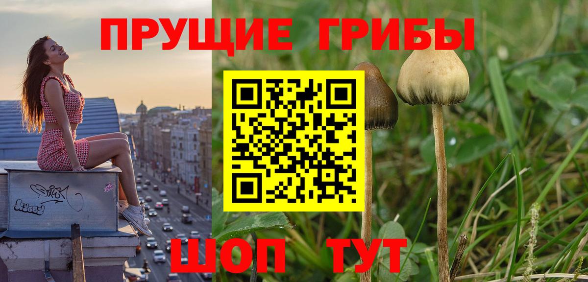 Галлюциногенные грибы MAGIC MUSHROOMS  Псилоцибиновые грибы мухоморы  наркошоп  Вход с VPN  Батайск 