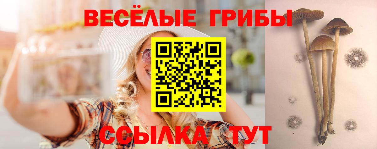 Галлюциногенные грибы прущие грибы Батайск